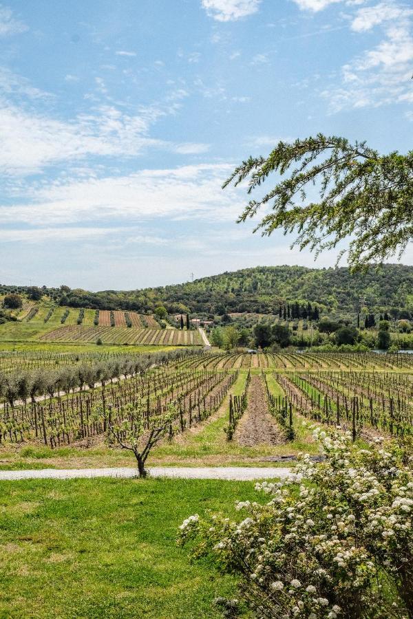 Agriturismo Biologico Bulichella Suvereto Luaran gambar