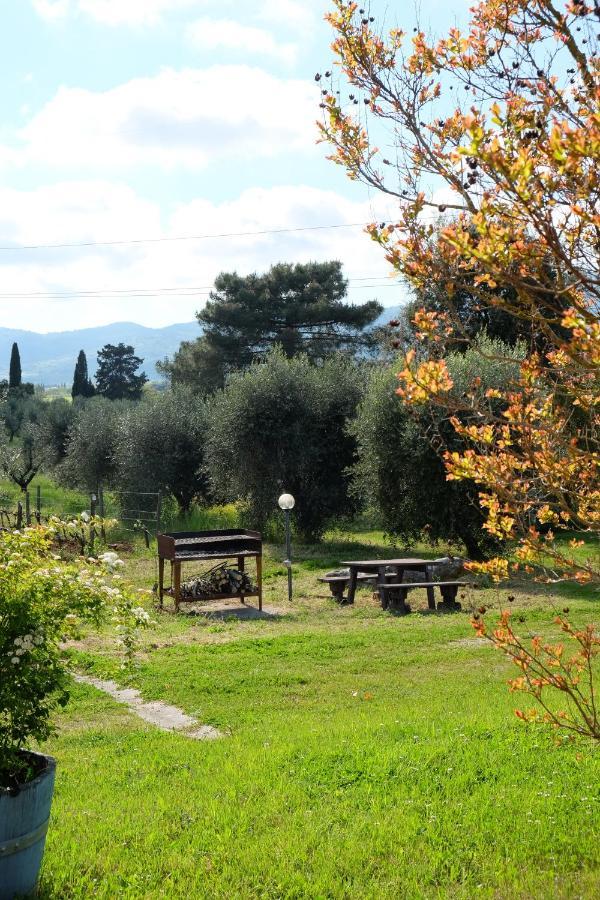 Agriturismo Biologico Bulichella Suvereto Luaran gambar