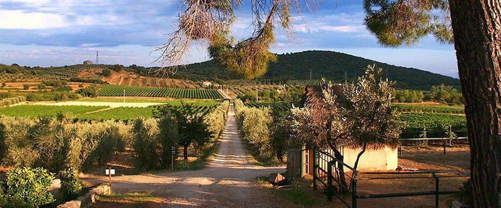 Agriturismo Biologico Bulichella Suvereto Luaran gambar